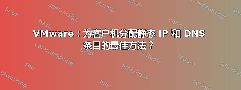 VMware：为客户机分配静态 IP 和 DNS 条目的最佳方法？