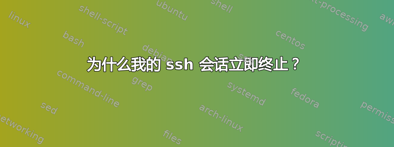 为什么我的 ssh 会话立即终止？