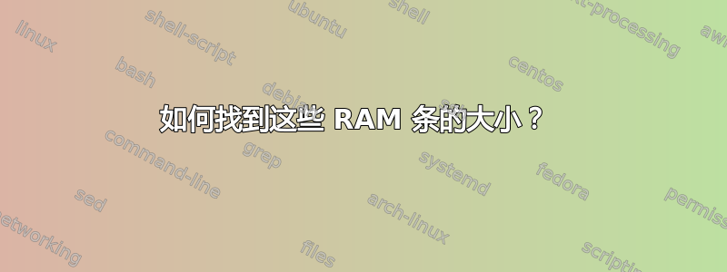 如何找到这些 RAM 条的大小？ 