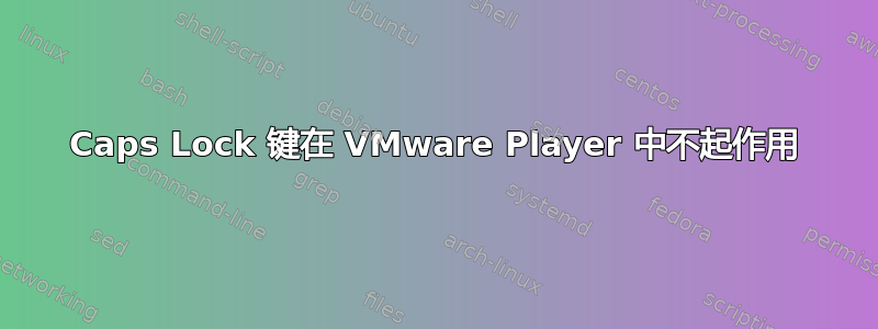 Caps Lock 键在 VMware Player 中不起作用