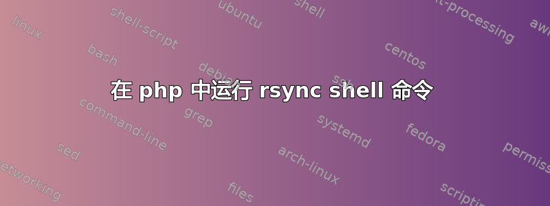 在 php 中运行 rsync shell 命令