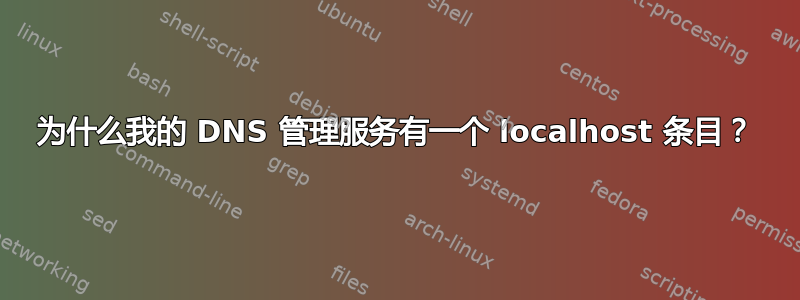 为什么我的 DNS 管理服务有一个 localhost 条目？