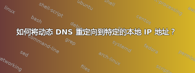 如何将动态 DNS 重定向到特定的本地 IP 地址？