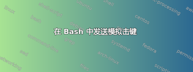 在 Bash 中发送模拟击键