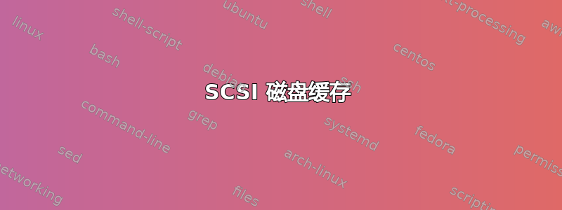 SCSI 磁盘缓存