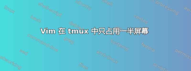 Vim 在 tmux 中只占用一半屏幕