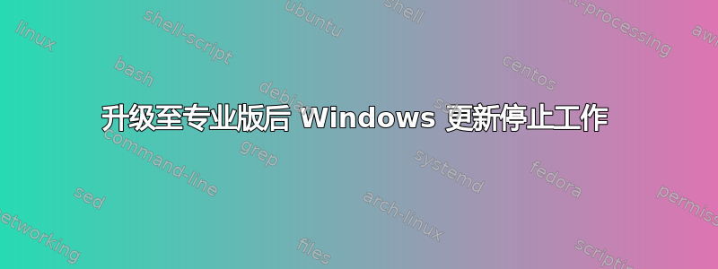 升级至专业版后 Windows 更新停止工作