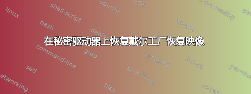 在秘密驱动器上恢复戴尔工厂恢复映像