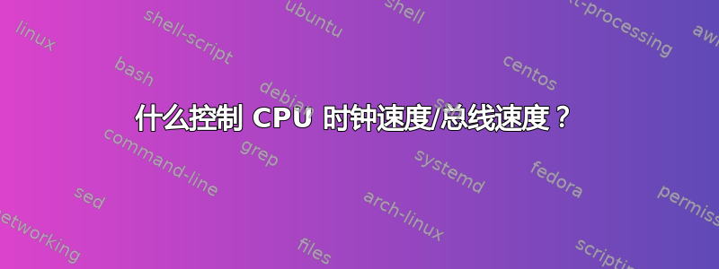 什么控制 CPU 时钟速度/总线速度？