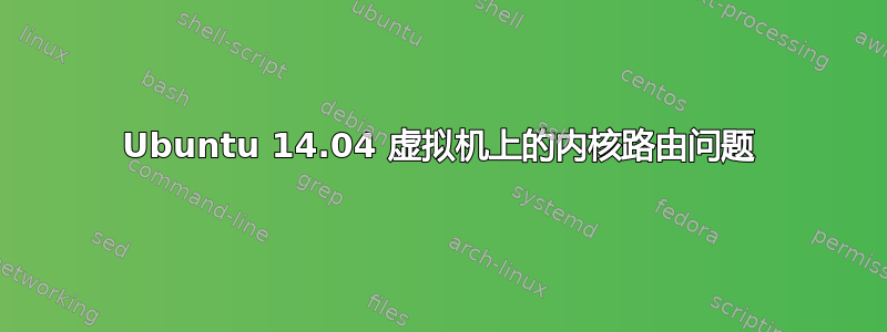 Ubuntu 14.04 虚拟机上的内核路由问题