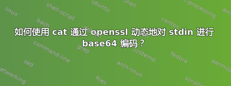 如何使用 cat 通过 openssl 动态地对 stdin 进行 base64 编码？