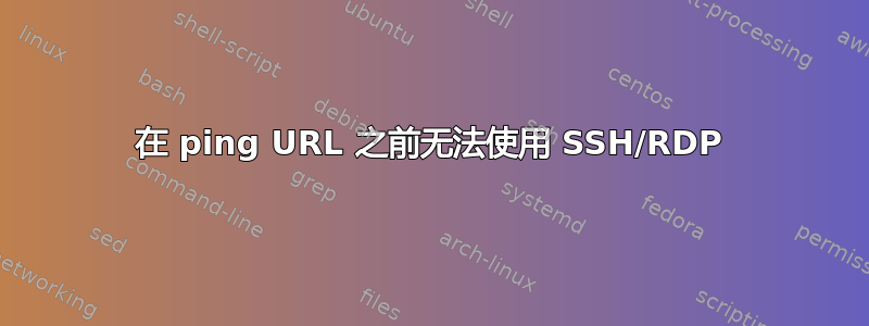 在 ping URL 之前无法使用 SSH/RDP