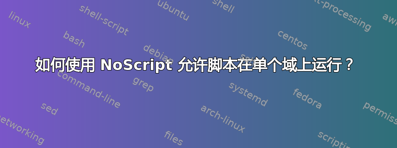 如何使用 NoScript 允许脚本在单个域上运行？