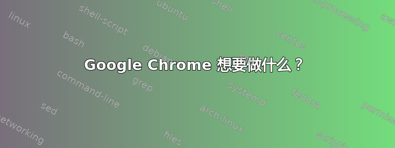 Google Chrome 想要做什么？