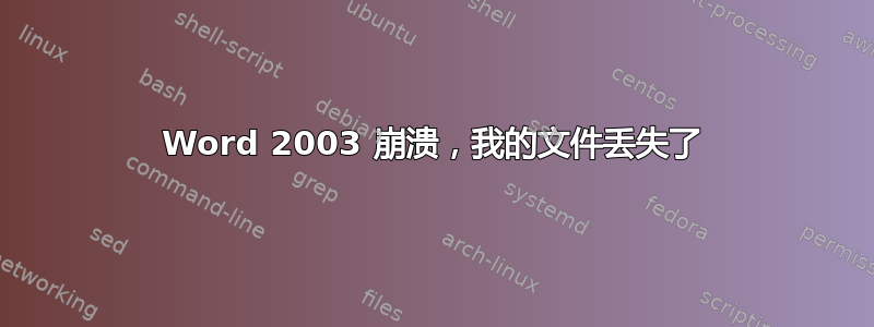 Word 2003 崩溃，我的文件丢失了