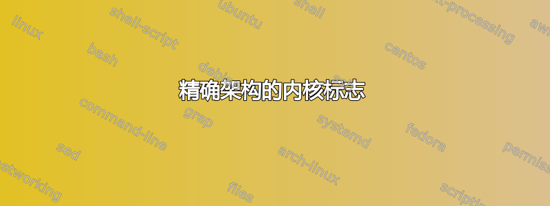 精确架构的内核标志