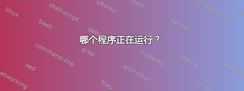 哪个程序正在运行？