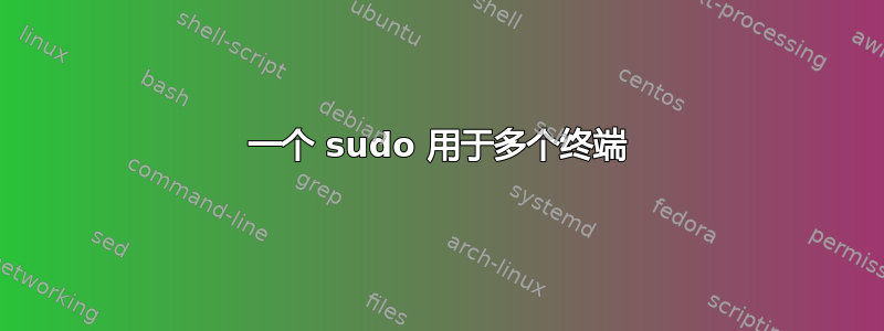 一个 sudo 用于多个终端