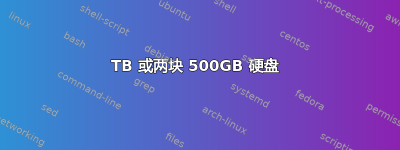 1TB 或两块 500GB 硬盘 