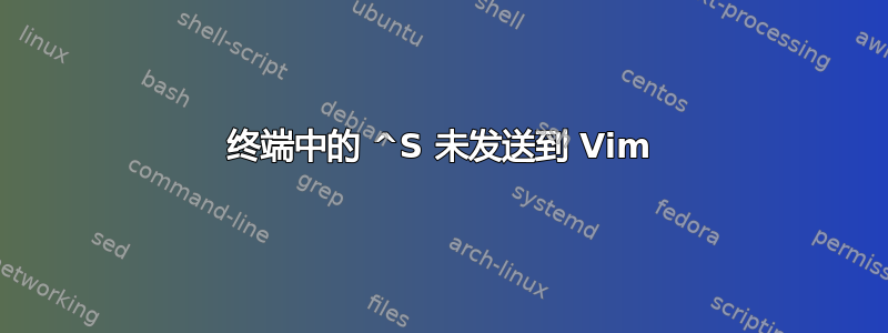 终端中的 ^S 未发送到 Vim