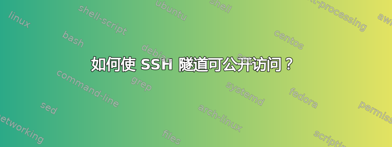 如何使 SSH 隧道可公开访问？