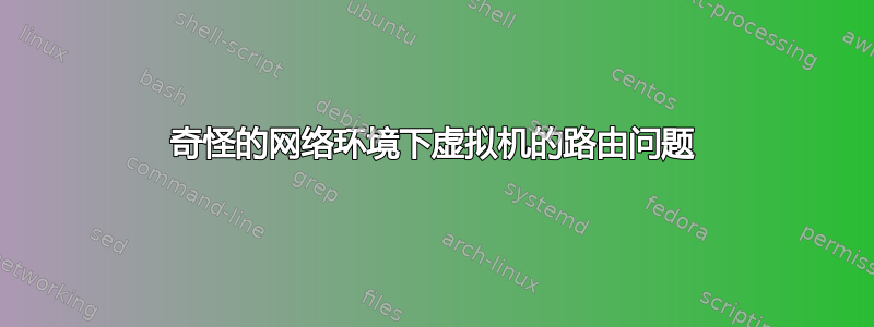 奇怪的网络环境下虚拟机的路由问题