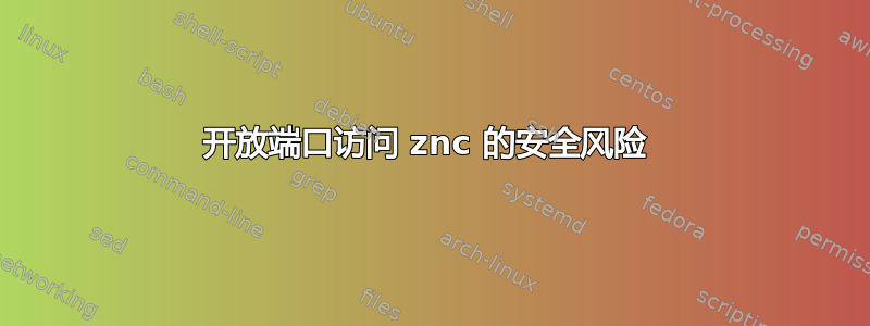 开放端口访问 znc 的安全风险 