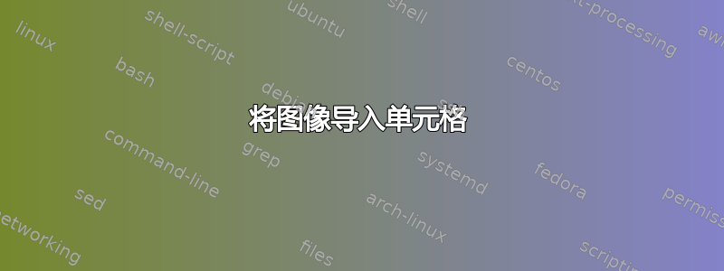 将图像导入单元格