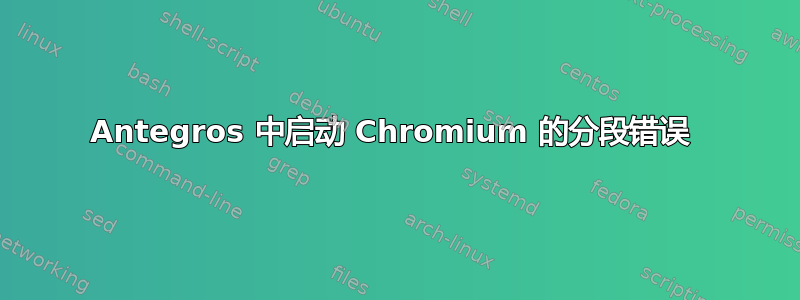 Antegros 中启动 Chromium 的分段错误 