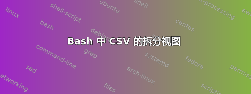 Bash 中 CSV 的拆分视图