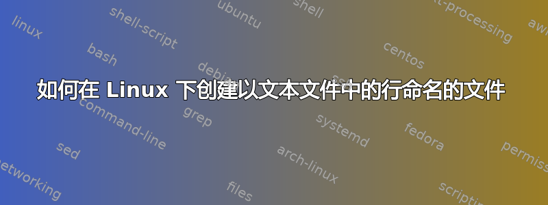 如何在 Linux 下创建以文本文件中的行命名的文件