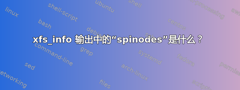 xfs_info 输出中的“spinodes”是什么？