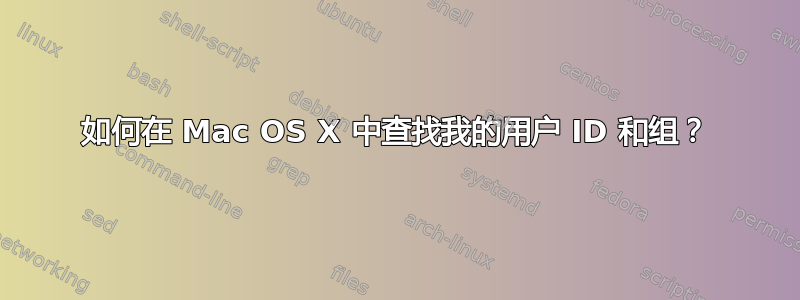 如何在 Mac OS X 中查找我的用户 ID 和组？