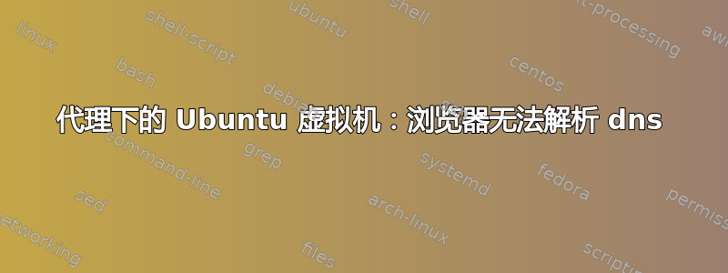 代理下的 Ubuntu 虚拟机：浏览器无法解析 dns