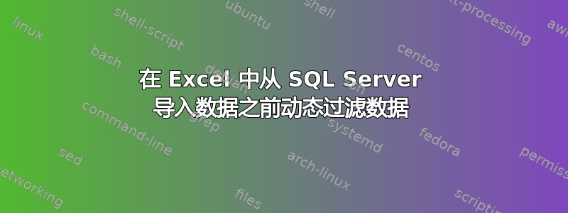 在 Excel 中从 SQL Server 导入数据之前动态过滤数据