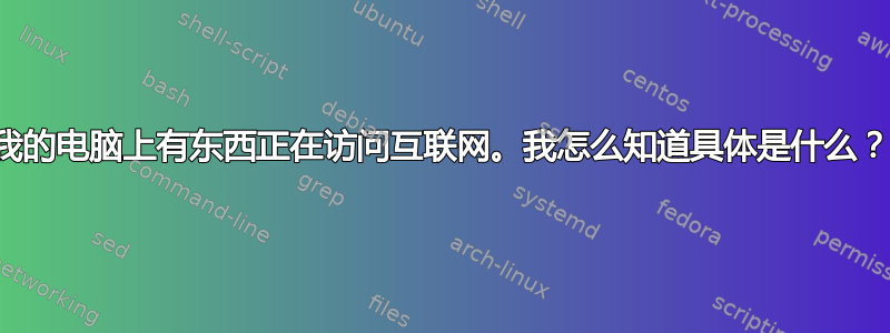 我的电脑上有东西正在访问互联网。我怎么知道具体是什么？