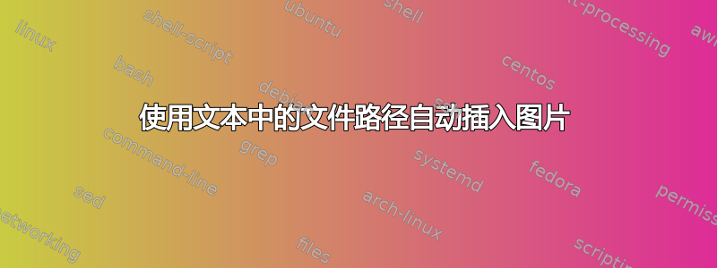 使用文本中的文件路径自动插入图片