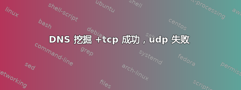 DNS 挖掘 +tcp 成功，udp 失败