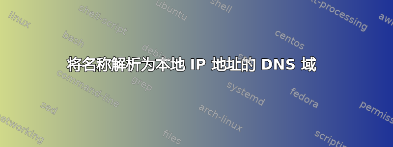 将名称解析为本地 IP 地址的 DNS 域 