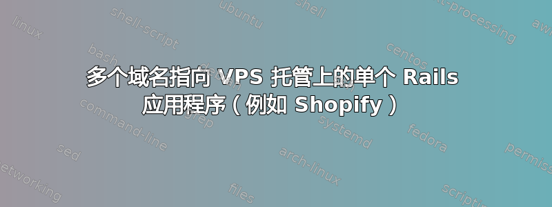 多个域名指向 VPS 托管上的单个 Rails 应用程序（例如 Shopify）