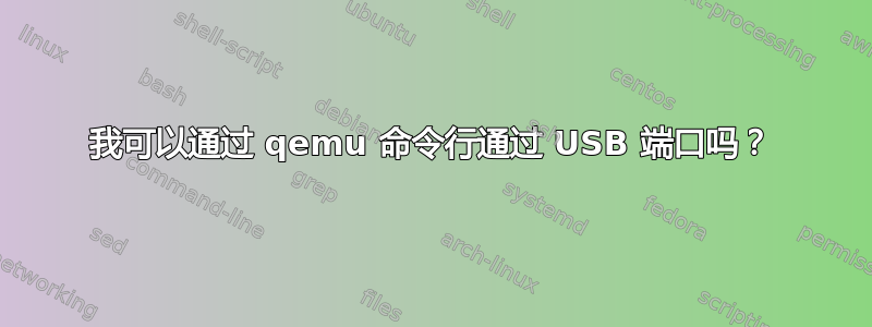 我可以通过 qemu 命令行通过 USB 端口吗？