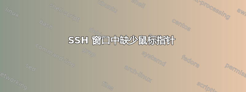 SSH 窗口中缺少鼠标指针