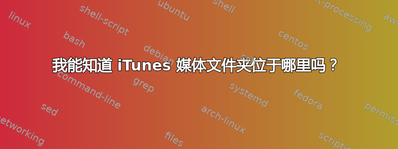 我能知道 iTunes 媒体文件夹位于哪里吗？