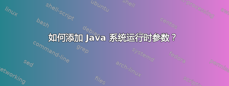 如何添加 Java 系统运行时参数？