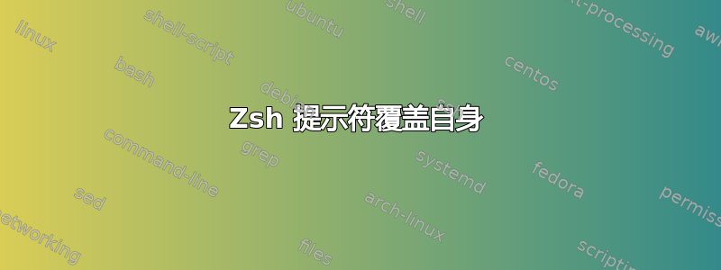 Zsh 提示符覆盖自身