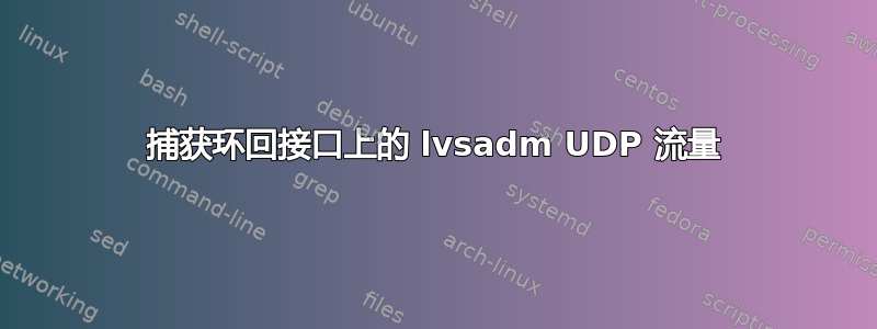 捕获环回接口上的 lvsadm UDP 流量