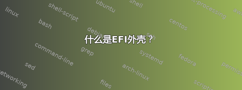 什么是EFI外壳？