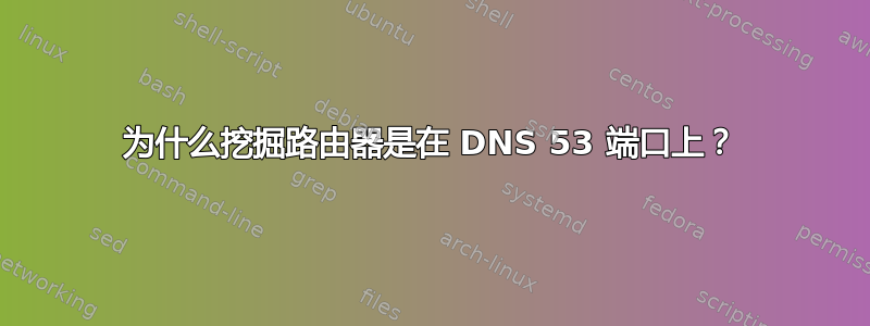 为什么挖掘路由器是在 DNS 53 端口上？