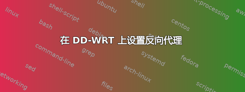 在 DD-WRT 上设置反向代理