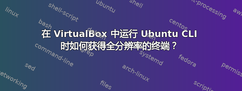 在 VirtualBox 中运行 Ubuntu CLI 时如何获得全分辨率的终端？